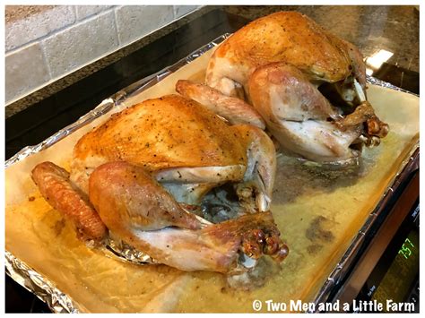 Turkey 2.